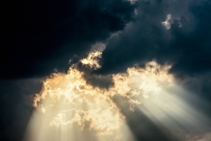 Advogadas, magistradas e acadêmicas debatem no IAB o contexto político para a mulher 