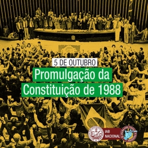 ‘Ninguém está acima da lei ou da Constituição’, afirma a presidente do IAB