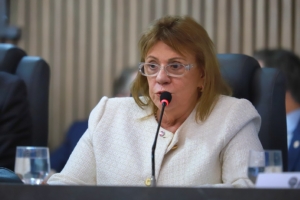 Ana Amélia Menna Barreto