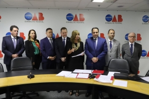 Da esq. para a dir., Rodrigo Badaró Almeida de Castro, Marcia Dinis, Felipe Santa Cruz, Aniello Miranda Aufiero, Rita Cortez, José Alberto Ribeiro Simonetti Cabral, Marco Aurélio de Lima Choy e Paulo Roberto de Gouvea Medina