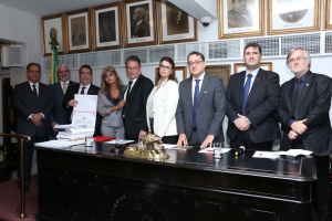  Da esq. para a dir., José da Fonseca Martins Junior, Carlos Eduardo Machado, Jorge Orlando Sereno Ramos, Rita Cortez, Antonio Laért Vieira Junior, Adriana Brasil Guimarães, Daniel Apolônio Vieira, Paulo Cesar Rocha Cavalcanti Junior e Aderson Bussinger
