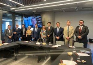 Da esq. para a dir., Luís Otávio Camargo Pinto, Carlos José Santos da Silva, Afonso Paciléo Neto, Patrícia Vanzolini, André Garcia, Renata Mariz de Oliveira, Rodrigo Jorge Moraes, Gustavo Brigagão, Cristiano Joukhadar e Henrique Tremura; No vídeo, Eduardo Perez Salusse