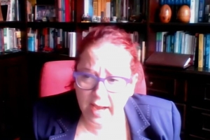 Vânia Aieta participa de audiência pública na Câmara e critica nepotismo partidário 