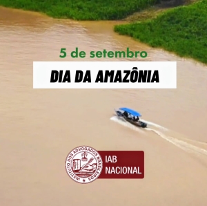 IAB destaca a conservação da Amazônia como fundamental para a regulação do clima global